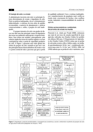 50                                                                                               A Erosão e seu Impacto


O manejo do solo e a erosão                                     de qualidade ambiental. Com a contínua inadimplên-
                                                                cia e empobrecimento da população rural, verifica-se
A administração incorreta está entre os principais fa-
                                                                êxodo rural, crescimento de favelas e dos conflitos
tores determinantes de erosão e degradação do solo.
                                                                sociais, induzindo á insustentabilidade do modelo de
Entre as práticas inadequadas, cita-se o desmatamento
                                                                agrícola.
indiscriminado, o sobreuso da terra além da aptidão
recomendada, a ausência de planejamento e práticas
conservacionistas e, enfim, o preparo de solo inade-            Efeitos socioeconômicos e ambientais
quado.                                                          decorrentes da erosão no mundo
        O preparo intensivo do solo com grades de dis-
cos tem sido uma das principais causas da degradação            Pimental et al., citado por Pruski (2000), estimaram
das terras nos ambientes subtropicais e tropicais brasi-        que mais de um terço da camada superficial de áreas
leiros. Seus efeitos são sentidos, principalmente, pela         agrícolas cultivadas nos Estados Unidos foi perdido
redução rápida dos teores de matéria orgânica e as suas         nos últimos 200 anos. O Departamento de Agricultu-
conseqüências sobre a perda de capacidade produtiva             ra dos Estados Unidos (USDA) estima que as perdas
do solo. A Figura 1 apresenta uma visão global dos              de solo pelas erosões eólica e hídrica sejam, em média,
efeitos do preparo do solo, notando-se que este é um            de aproximadamente 14t ha-1 ano-1, considerando tole-
dos principais fatores desencadeadores da erosão e esta         ráveis taxas entre 9 e 11t ha-1 ano-1 (USDA, 1994). Lal
é o ponto central de todo o processo que gera a perda           (1994) salienta que as perdas de solo e nutrientes, asso-




Figura 1. Degradação, perda de produtividade e conseqüências econômicas, sociais e ambientais resultantes do preparo do solo
na agricultura tradicional (Adaptado de Derpsch, 1997).
 