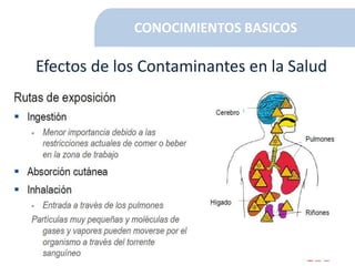 CONOCIMIENTOS BASICOS
Efectos de los Contaminantes en la Salud
 