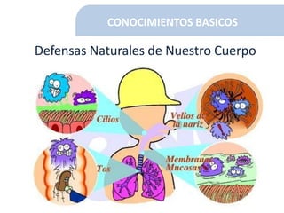 CONOCIMIENTOS BASICOS
Defensas Naturales de Nuestro Cuerpo
 