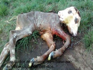 resultados negativos, com base na
exteriorização de defeitos.
 