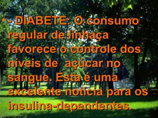• - DIABETE: O consumo
  regular de linhaça
  favorece o controle dos
  níveis de açúcar no
  sangue. Esta é uma
  excelente notícia para os
  insulina-dependentes.
 