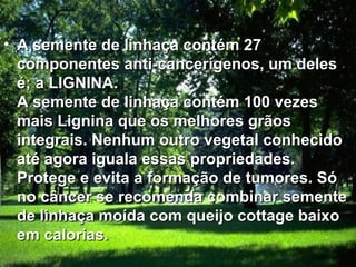 • A semente de linhaça contém 27
  componentes anti-cancerígenos, um deles
  é; a LIGNINA.
  A semente de linhaça contém 100 vezes
  mais Lignina que os melhores grãos
  integrais. Nenhum outro vegetal conhecido
  até agora iguala essas propriedades.
  Protege e evita a formação de tumores. Só
  no câncer se recomenda combinar semente
  de linhaça moída com queijo cottage baixo
  em calorias.
 