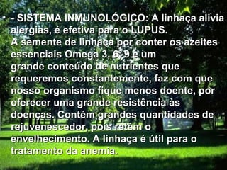 • - SISTEMA INMUNOLÓGICO: A linhaça alivia
  alergias, é efetiva para o LUPUS.
  A semente de linhaça por conter os azeites
  essenciais Omega 3, 6, 9 e um
  grande conteúdo de nutrientes que
  requeremos constantemente, faz com que
  nosso organismo fique menos doente, por
  oferecer uma grande resistência às
  doenças. Contém grandes quantidades de
  rejuvenescedor, pois retém o
  envelhecimento. A linhaça é útil para o
  tratamento da anemia.
 