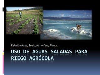 Relación Agua, Suelo, Atmosfera, Planta.

USO DE AGUAS SALADAS PARA
RIEGO AGRÍCOLA
 