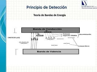 Principio de Detección
Teoría de Bandas de Energía
 