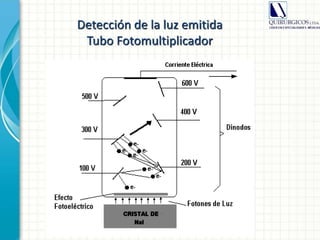 Detección de la luz emitida
Tubo Fotomultiplicador
 