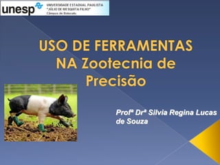 Profª Drª Silvia Regina Lucas
de Souza
 