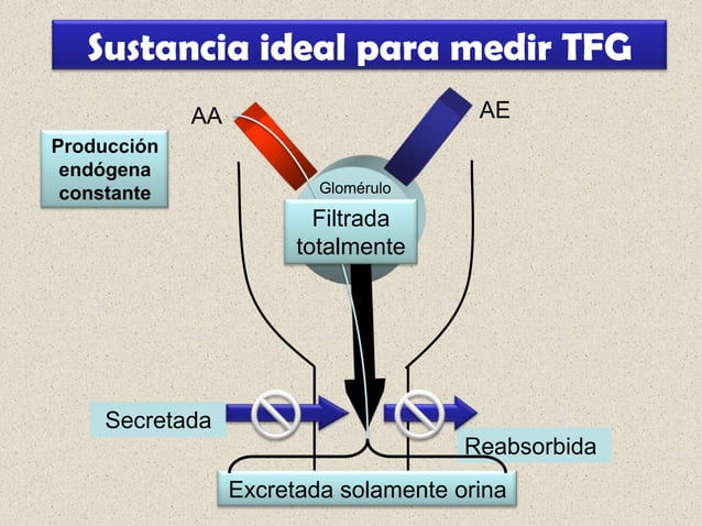 Uso De Formulas Para El Calculo De La Tasa De Filtrado Glomerular