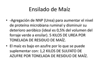 Ensilado de Maíz<br />-Agregación de NNP (Urea) para aumentar el nivel de proteína microbiana ruminal y disminuir su deter...