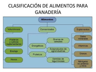 CLASIFICACIÓN DE ALIMENTOS PARA GANADERÍA<br />