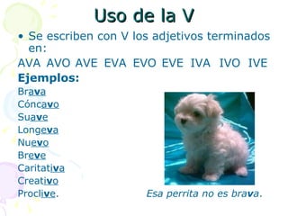 Uso de la V
• Se escriben con V los adjetivos terminados
  en:
AVA AVO AVE EVA EVO EVE IVA IVO IVE
Ejemplos:
Brava
Cóncavo
Suave
Longeva
Nuevo
Breve
Caritativa
Creativo
Proclive.             Esa perrita no es brava.
 