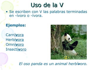 Uso de la V
• Se escriben con V las palabras terminadas
  en -ívoro o -ívora.

Ejemplos:

Carnívora
Herbívora
Omnívoro
Insectívoro


       El oso panda es un animal herbívoro.
 