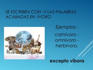 SE ESCRIBEN CON -V LAS PALABRAS 
ACABADAS EN -ÍVORO 
Ejemplos.- 
carnívoro - 
omnívoro - 
herbívoro. 
excepto víbora 
 