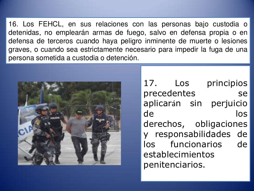 PRINCIPIOS BASICOS SOBRE EL EMPLEO DE LA FUERZA Y DE ARMAS DE FUEGO PRINCIPIOS BASICOS SOBRE EL EMPLEO DE LA FUERZA Y DE ARMAS DE FUEGO