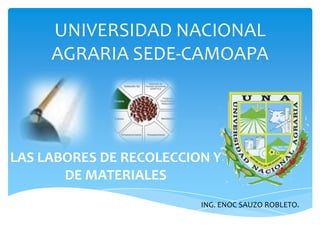 UNIVERSIDAD NACIONAL AGRARIA SEDE-CAMOAPA LAS LABORES DE RECOLECCION Y DE MATERIALES ING. ENOC SAUZO ROBLETO. 