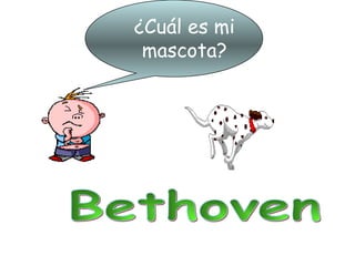 ¿Cuál es mi
mascota?
 