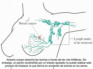 Nuestro cuerpo desecha las toxinas a través de las vías linfáticas. Sin
embargo, un pecho constreñido por un brasier ajustado no puede realizar este
  proceso de limpieza, lo que deriva en anulación de toxinas en los senos.
 