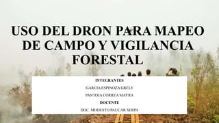 USO DEL DRON PARA MAPEO
DE CAMPO Y VIGILANCIA
FORESTAL
INTEGRANTES
GARCIA ESPINOZA GRELY
PANTOJA CORREA MAYRA
DOCENTE
DOC. MODESTO PAUCAR SERPA
 