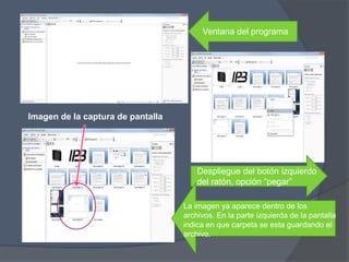 Ventana del programa




Imagen de la captura de pantalla




                                       Despliegue del botón izquierdo
                                       del ratón, opción “pegar”

                                   La imagen ya aparece dentro de los
                                   archivos. En la parte izquierda de la pantalla
                                   indica en que carpeta se esta guardando el
                                   archivo.
 