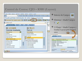 Uso del Sistema Sap en el Control PyCP.pptx