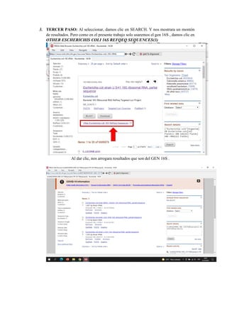 3. TERCER PASO: Al seleccionar, damos clic en SEARCH. Y nos mostrara un montón
de resultados. Pero como en el presente trabajo solo usaremos el gen 16S , damos clic en
OTHER ESCHERICHIS COLI 16S REFQEQ SEQUENCES(3)
Al dar clic, nos arrogara resultados que son del GEN 16S .
 