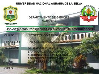 Uso de plantas transgénicas en el control de enfermedades
UNIVERSIDAD NACIONAL AGRARIA DE LA SELVA
DEPARTAMENTO DE CIENCIAS
AGRARIAS
CURSO : FITOPATOLOGIA TROPICAL
PROFESOR : Ing. OSCAR CABEZAS HUAYLLAS
ALUMNOS : DELGADO PUCUTAY , Luis
SANTA CRUZ ARICA, Diego
ALBORNOZ ALBORNOZ, Gilmer
ASCENCIOS ESPINOZA, Kilder
CONTRERAS SORIA, Eva
CICLO : 2015 - I
TINGO MARIA - PERÚ
 