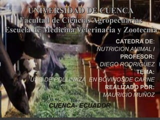 UNIVERSIDAD DE CUENCA
    Facultad de Ciencias Agropecuarias
Escuela de Medicina Veterinaria y Zootecnia
                                CATEDRA DE:
                          NUTRICION ANIMAL I
                                 PROFESOR:
                           DIEGO RODRIGUEZ
                                      TEMA:
       USO DE POLLINAZA EN BOVINOSDE CARNE
                             REALIZADO POR:
                            MAURICIO MUÑOZ
            CUENCA- ECUADOR
 