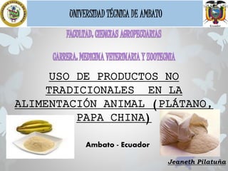 Jeaneth Pilatuña
UNIVERSIDAD TÉCNICA DE AMBATO
Ambato - Ecuador
USO DE PRODUCTOS NO
TRADICIONALES EN LA
ALIMENTACIÓN ANIMAL (PLÁTANO,
PAPA CHINA)
 