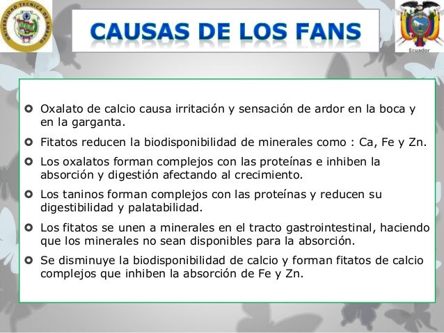Uso de productos no tradicionales (platano, papa china) Uso de productos no tradicionales (platano, papa china)