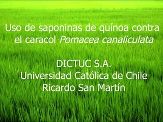 Uso de saponinas de quínoa contra  el caracol  Pomacea canaliculata DICTUC S.A. Universidad Católica de Chile Ricardo San Martín 