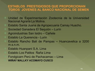 Sequion USO DE SEMEN DE TOROS NACIONALES LECHEROS | PPT