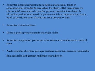 Aumentar la tensión arterial: esto se debe al efecto Dale, donde en concentraciones elevadas de adrenalina, los efectos alfa1 enmascaran los efectos beta2 aumentando la presión; pero en concentraciones bajas, la adrenalina produce descenso de la presión arterial en respuesta a los efectos beta2 ya que tiene mayor afinidad por estos que por los alfa1 Aumentar el ritmo cardíaco Dilata la pupila proporcionando una mejor visión Aumenta la respiración, por lo que se ha usado como medicamento contra el asma Puede estimular al cerebro para que produzca dopamina, hormona responsable de la sensación de bienestar, pudiendo crear adicción