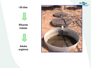 ~20 dias

Efluente
tratado

Adubo
orgânico

 