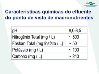 Características químicas do efluente
do ponto de vista de macronutrientes
pH
Nitrogênio Total (mg / L)
Fósforo Total (mg fosfato / L)
Potássio (mg / L)
Carbono (mg / L)

8,0-8,5
~ 500
~ 50
~ 100
~ 240

 