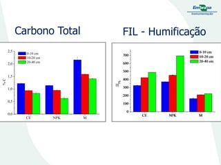 Carbono Total
2,5
2,0

FIL - Humificação

0-10 cm
10-20 cm
20-40 cm

%C

1,5
1,0

0,5
0,0
CE

NPK

M

 