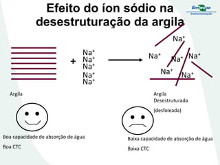 Efeito do íon sódio na
desestruturação da argila
Na+

+

Na+
Na+
Na+
Na+
Na+

Na+

Na+

Na+

Na+ Na+
Argila
Desestruturada

Argila

(desfoleada)

Boa capacidade de absorção de água

Baixa capacidade de absorção de água

Boa CTC

Baixa CTC

 