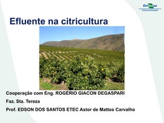 Efluente na citricultura

Cooperação com Eng. ROGÉRIO GIACON DEGASPARI
Faz. Sta. Tereza
Prof. EDSON DOS SANTOS ETEC Astor de Mattos Carvalho

 
