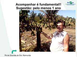 Acompanhar é fundamental!!
Sugestão: pelo menos 1 ano

Pé de Graviola da Sra. Raimunda

 