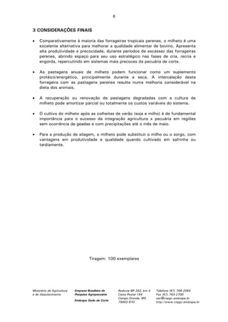 Ministério da Agricultura
e do Abastecimento
Empresa Brasileira de
Pesquisa Agropecuária
Embrapa Gado de Corte
Rodovia BR 262, km 4
Caixa Postal 154
Campo Grande, MS
79002-970
Telefone (67) 768-2064
Fax (67) 763-2700
sac@cnpgc.embrapa.br
http://www.cnpgc.embrapa.br
6
3 CONSIDERAÇÕES FINAIS
• Comparativamente à maioria das forrageiras tropicais perenes, o milheto é uma
excelente alternativa para melhorar a qualidade alimentar de bovino. Apresenta
alta produtividade e precocidade, durante períodos de escassez das forrageiras
perenes, abrindo espaço para seu uso estratégico nas fases de cria, recria e
engorda, repercutindo em sistemas mais precoces da pecuária de corte.
• As pastagens anuais de milheto podem funcionar como um suplemento
protéico/energético, principalmente durante a seca. A intercalação desta
forrageira com as pastagens perenes resulta numa melhoria considerável na
dieta dos animais.
• A recuperação ou renovação de pastagens degradadas com a cultura de
milheto pode amortizar parcial ou totalmente os custos variáveis do sistema.
• O cultivo do milheto após as colheitas de verão (soja e milho) é de fundamental
importância para o sucesso da integração agricultura x pecuária em regiões
sem ocorrência de geadas e com precipitações até o mês de maio.
• Para a produção de silagem, o milheto pode substituir o milho ou o sorgo, com
vantagens em produtividade e qualidade quando cultivado em safrinha ou
tardiamente.
Tiragem: 100 exemplares
 