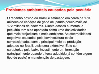 Problemas ambientais causados pela pecuária O rebanho bovino do Brasil é estimado em cerca de 170 milhões de cabeças de gado ocupando pouco mais de 172 milhões de hectares. Diante desses números, a pecuária tem sido apontada como uma das atividades que mais prejudicam o meio ambiente. As externalidades negativas causadas pela bovinocultura estão correlacionadas com o principal meio de produção adotado no Brasil, o sistema extensivo. Este se caracteriza pelo baixo investimento em formação (principalmente quando a terra adquirida já contém algum tipo de pasto) e manutenção de pastagem. 