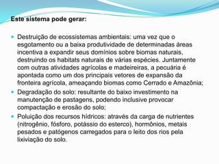 Este sistema pode gerar:Destruição de ecossistemas ambientais: uma vez que o esgotamento ou a baixa produtividade de determinadas áreas incentiva a expandir seus domínios sobre biomas naturais, destruindo os habitats naturais de várias espécies. Juntamente com outras atividades agrícolas e madeireiras, a pecuária é apontada como um dos principais vetores de expansão da fronteira agrícola, ameaçando biomas como Cerrado e Amazônia;Degradação do solo: resultante do baixo investimento na manutenção de pastagens, podendo inclusive provocar compactação e erosão do solo;Poluição dos recursos hídricos: através da carga de nutrientes (nitrogênio, fósforo, potássio do esterco), hormônios, metais pesados e patógenos carregados para o leito dos rios pela lixiviação do solo.