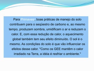 Para Primavesi, boas práticas de manejo do solo contribuem para o seqüestro de carbono e, ao mesmo tempo, produzem sombra, umidificam o ar e reduzem o calor. E, com essa redução de calor, o aquecimento global também tem seu efeito diminuído. O sol é o mesmo. As condições do solo é que vão influenciar os efeitos desse calor. ''Como os GEE mantêm o calor irradiado na Terra, a idéia é resfriar o ambiente.''