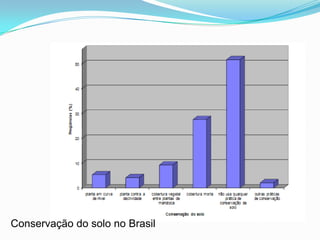 Conservação do solo no Brasil