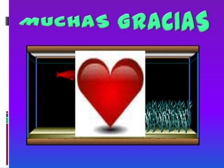 MUCHAS GRACIAS