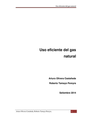 Uso eficiente del gas natural
Arturo Olivera Castañeda, Roberto Tamayo Pereyra. 1
Uso eficiente del gas
natural
Arturo Olivera Castañeda
Roberto Tamayo Pereyra
Setiembre 2014
 