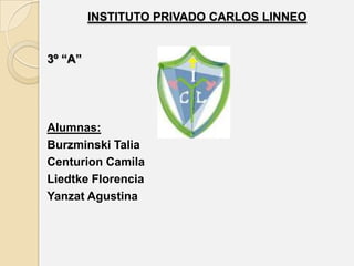 INSTITUTO PRIVADO CARLOS LINNEO


3º “A”




Alumnas:
Burzminski Talia
Centurion Camila
Liedtke Florencia
Yanzat Agustina
 