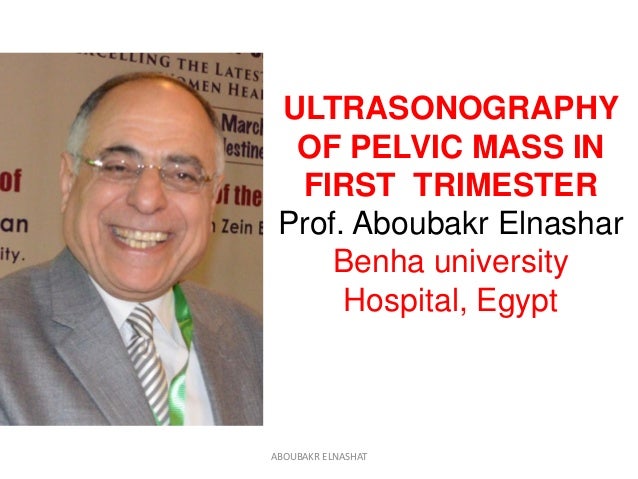 Ultrasonography Of Pelvic Mass In Early Pregnancy