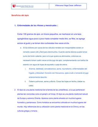 Villanueva Vega Cesar Jefferson

Beneficios del Apio

1. Enfermedades de los riñones y menstruales :

Cortar 100 gramos de apio, en trozos pequeños, se machacan en una taza
agregándose agua poco a poco hasta completar medio litro, se filtra, se agrega
azúcar al gusto y se toman dos cucharadas tres veces al día.
a. Si los dolores por causa de los cálculos renales son insoportables existe un
remedio casero útil y fácil para disminuirlos. Cuando sienta dolores puede tomar
zumo de limón caliente, pero si lo que quiere es eliminarlos, entonces es
necesario tomar cuatro veces al día jugo de apio, complementando con baños de
asiento con agua de hojas de equiseto o paja de arena.
i.

Anemia, debilidad, convalecencia, asma, reumatismo, enfermedades del
hígado y biliosidad: Comerlo con frecuencia, ojala crudo o tomando el jugo
anteriormente descrito.

ii.

Catarro pulmonar, asma y afonía. Cocer las hojas en leche y beber su
caldo.

2. El Apio es una planta medicinal de la familia de las umbelíferas, a la que pertenecen
plantas tan conocidas como el perejil o el hinojo. El Apio es una planta medicinal natural
de Europa y extremo Oriente. Aparece como planta silvestre en muchos lugares
húmedos y pantanosos. Como hortaliza se encuentra cultivada en muchos lugares del
mundo. Hay referencias de su utilización como planta medicinal en la China y en las
culturas griega y romana.

 