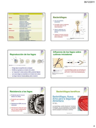 Usos benéficos de los microorganismos en alimentos | PDF