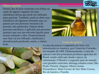 Óleos vegetais
Dentro dos tecidos existentes nas folhas ou
caule de alguns vegetais, há uma
substância oleosa que pode ser utilizada
para queimar. Também, pode-se obter essa
substância de algumas sementes que, ao
passar por um processo mecânico de
pressão, são quebradas. Depois deste
processo mecânico, é aplicado um processo
químico que usa um solvente líquido para
extrair somente o óleo. Posteriormente,
esse óleo vai ser refinado, clarificado e
desodorizado perdendo, assim, o cheiro
Cana-de-açúcar
forte.
A cana-de-açúcar é originária da Ásia e foi

introduzida na América, por Cristóvão Colombo,
em meados de 1492. Historicamente, a cana de
açúcar é um dos principais produtos agrícolas do
Brasil, sendo cultivada desde a época da
colonização, O Brasil é o segundo país do mundo
com grandes canaviais, abrange estados como: São
Paulo, Paraná, Alagoas, Minas Gerais,
Pernambuco, Mato Grosso do Sul, Mato Grosso,
Rio de Janeiro e Paraíba

 